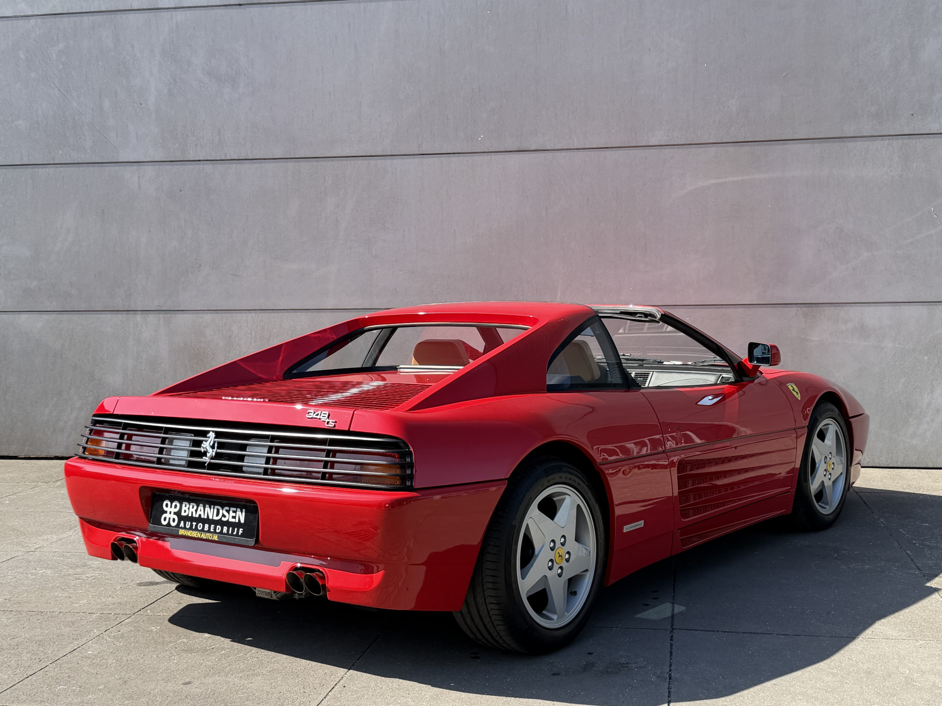 53629929-1.jpg